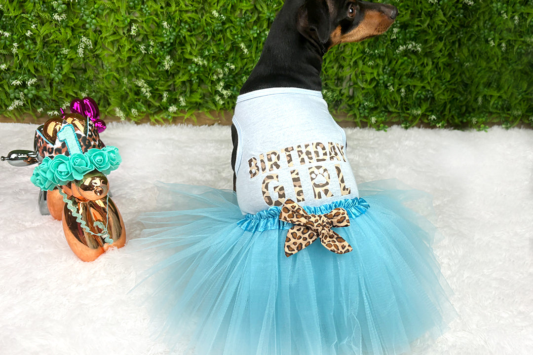Birthday Girl Outfit | The Aqua Blue Cheetah